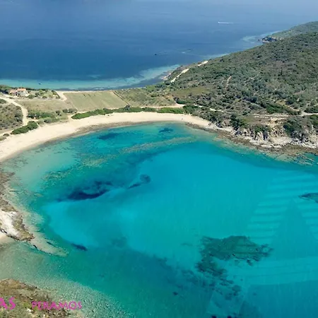 Apartament Number 10 *