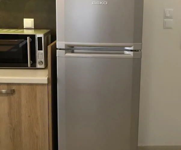 公寓 Number 10 Néa Péramos